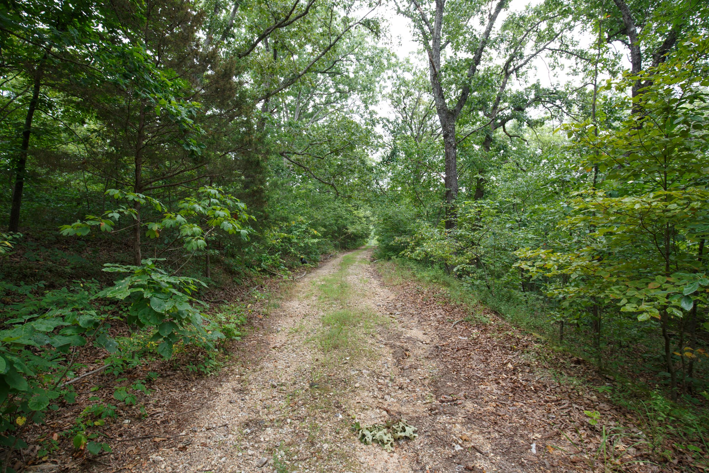Tract 35 at Springlake in Miller County, Missouri