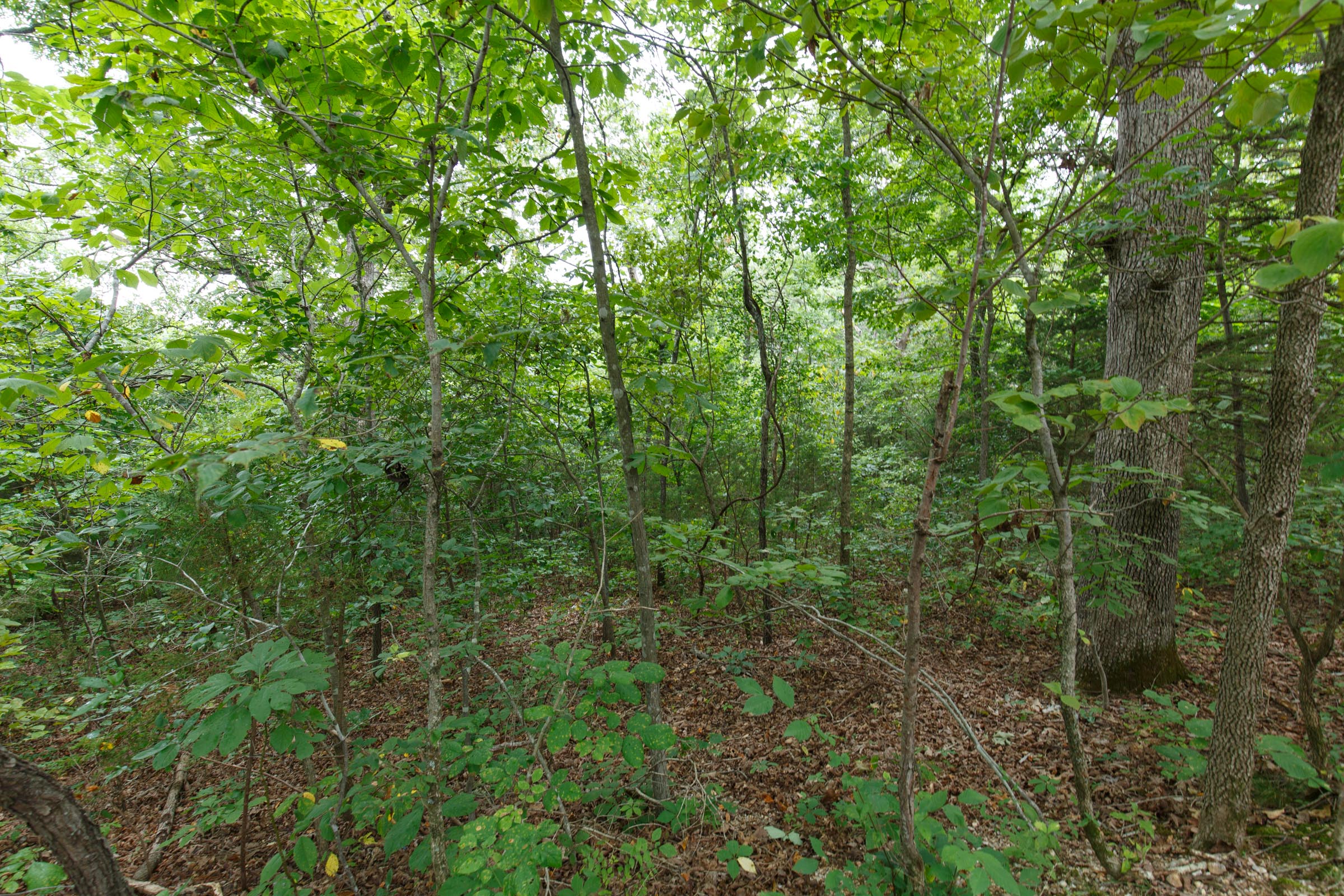 Tract 37 at Springlake in Miller County, Missouri