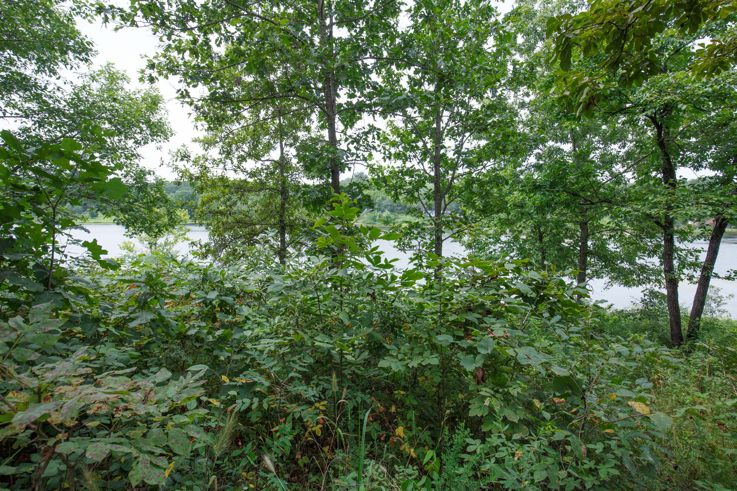Tract 6 at Springlake in Miller County, Missouri