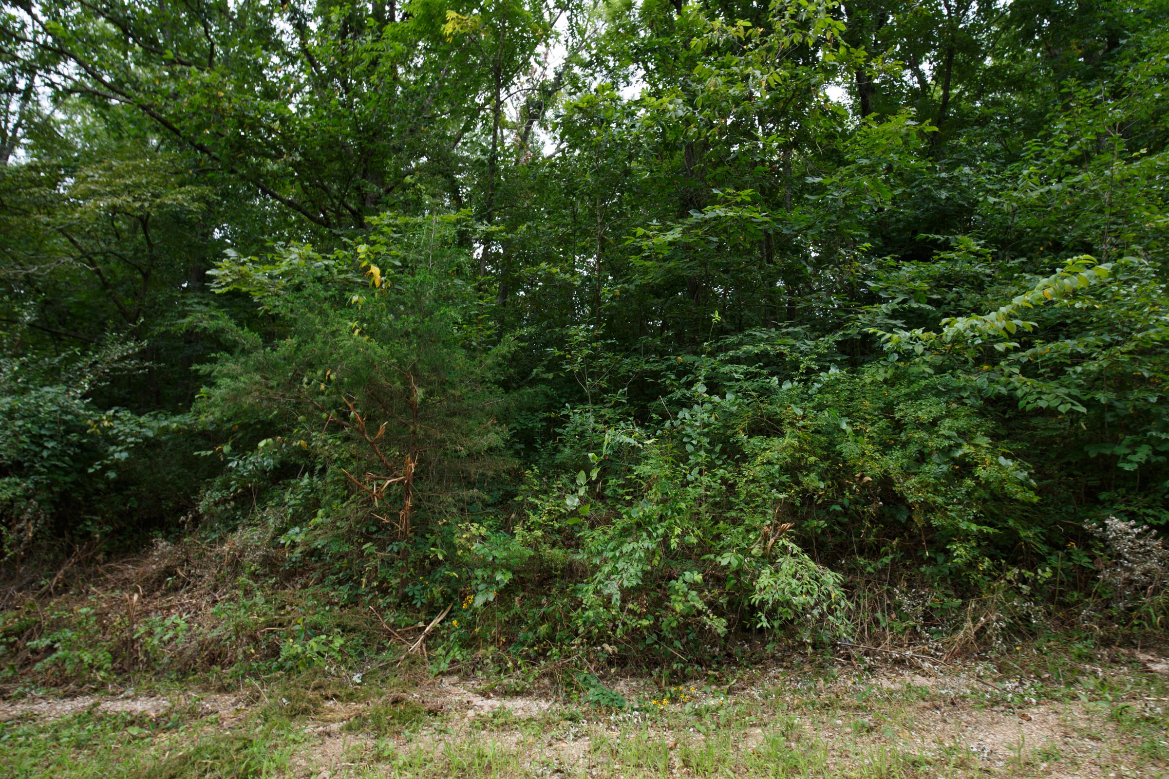 Tract 111 at Springlake in Miller County, Missouri
