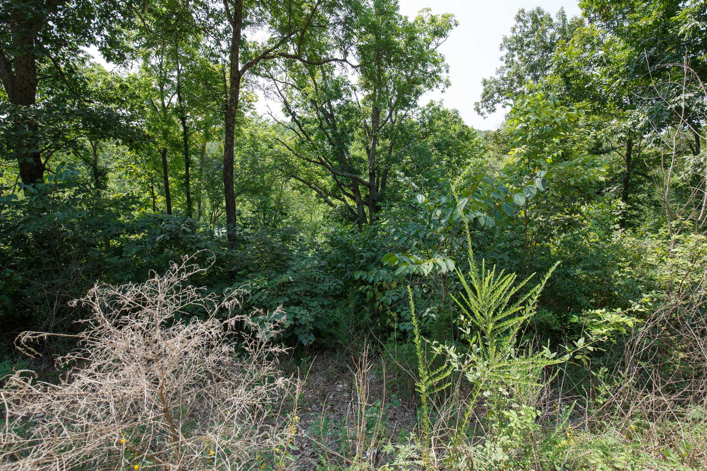 Tract 116 at Springlake in Miller County, Missouri