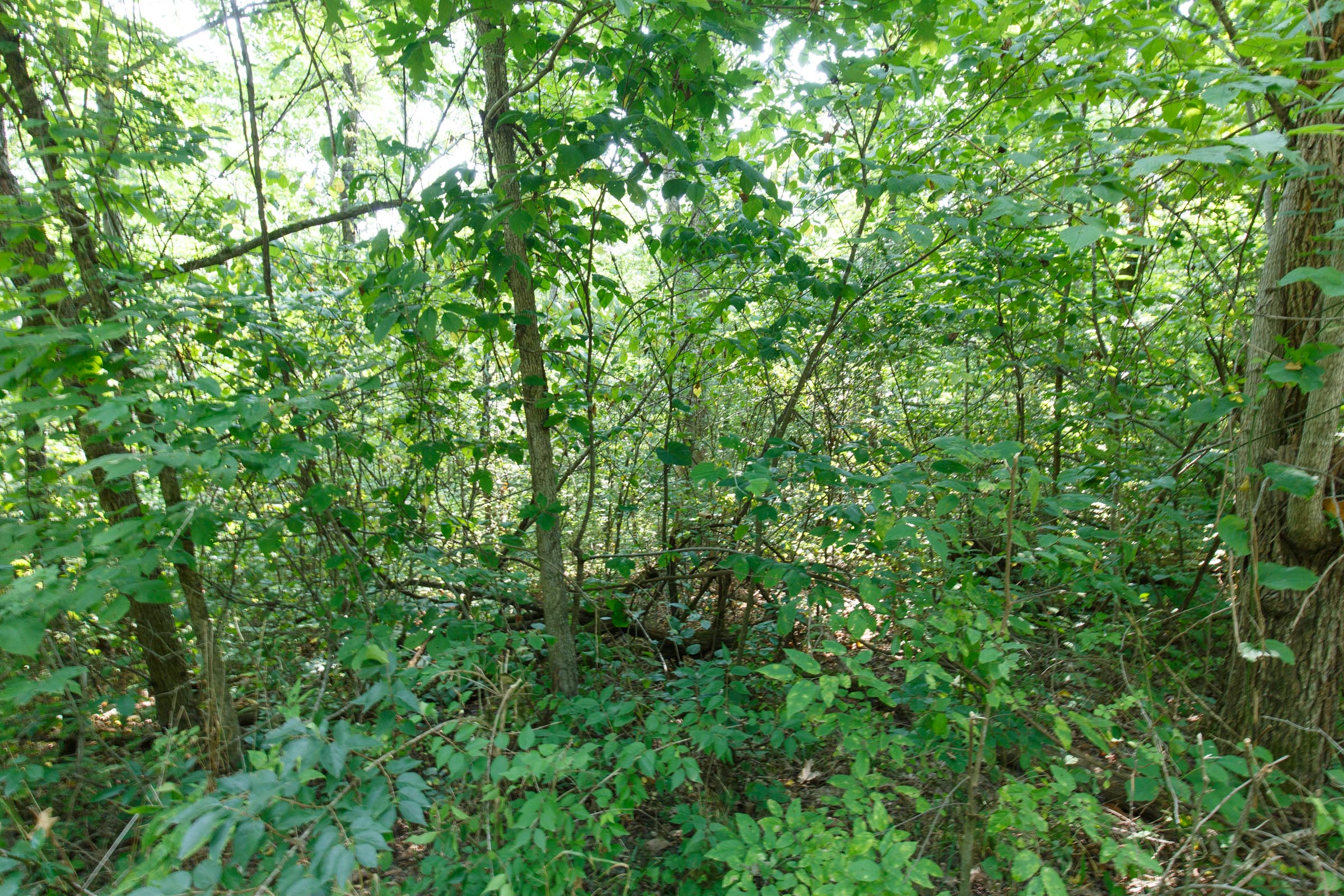 Tract 37 at Springlake in Miller County, Missouri