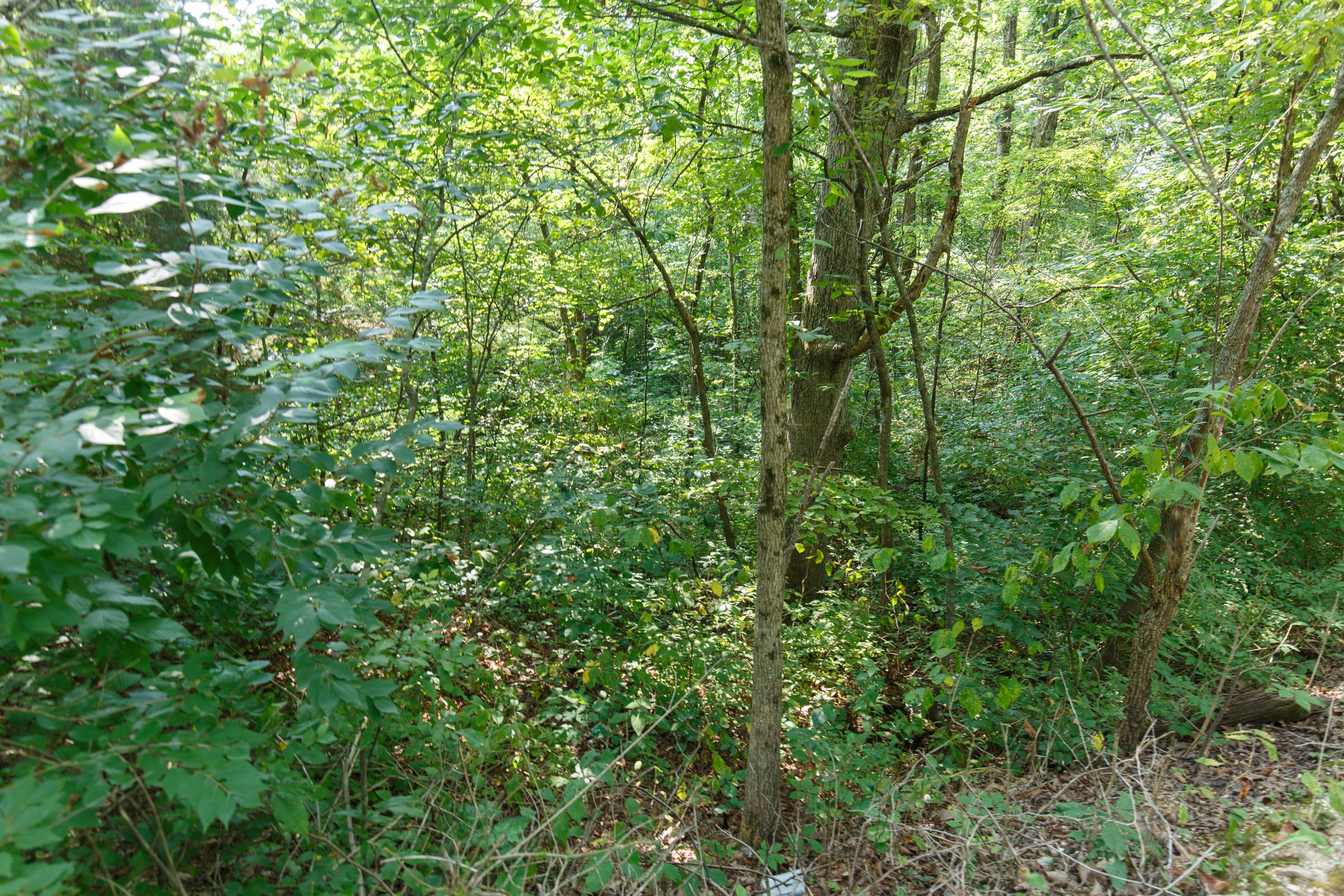Tract 38 at Springlake in Miller County, Missouri