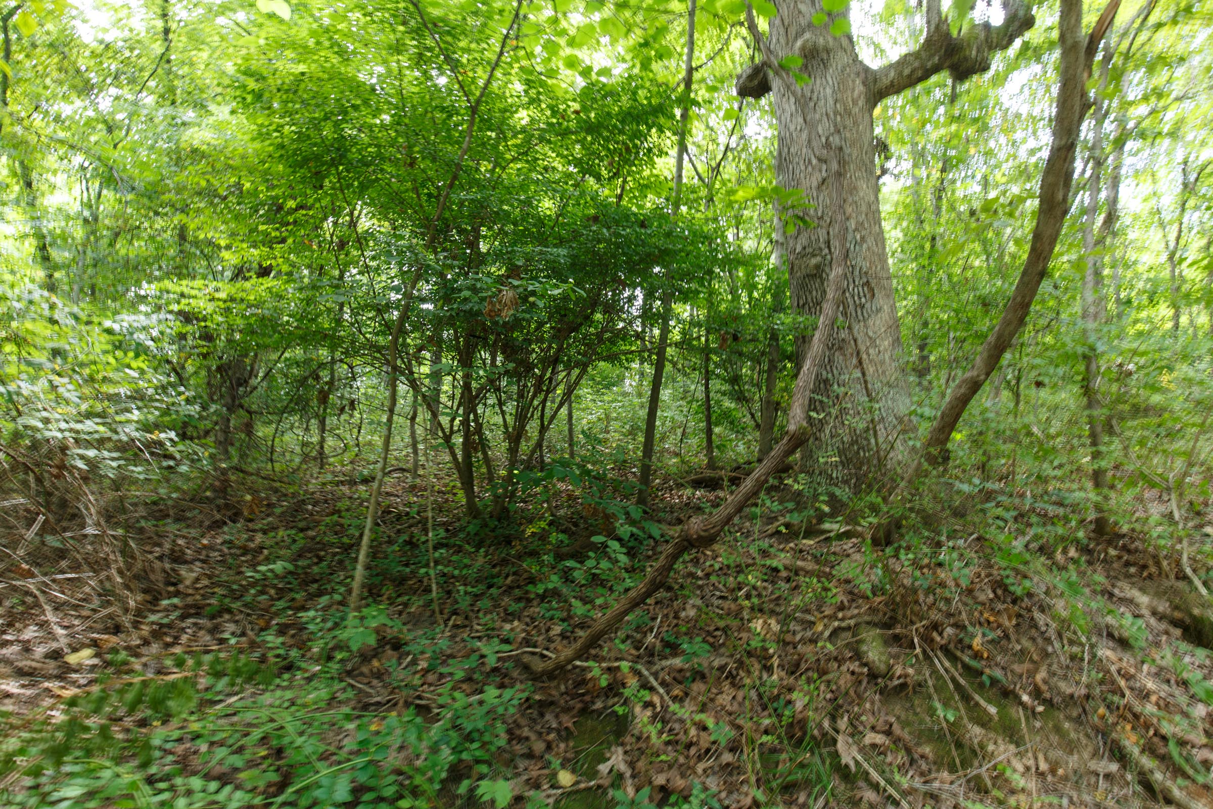 Tract 59 at Springlake in Miller County, Missouri
