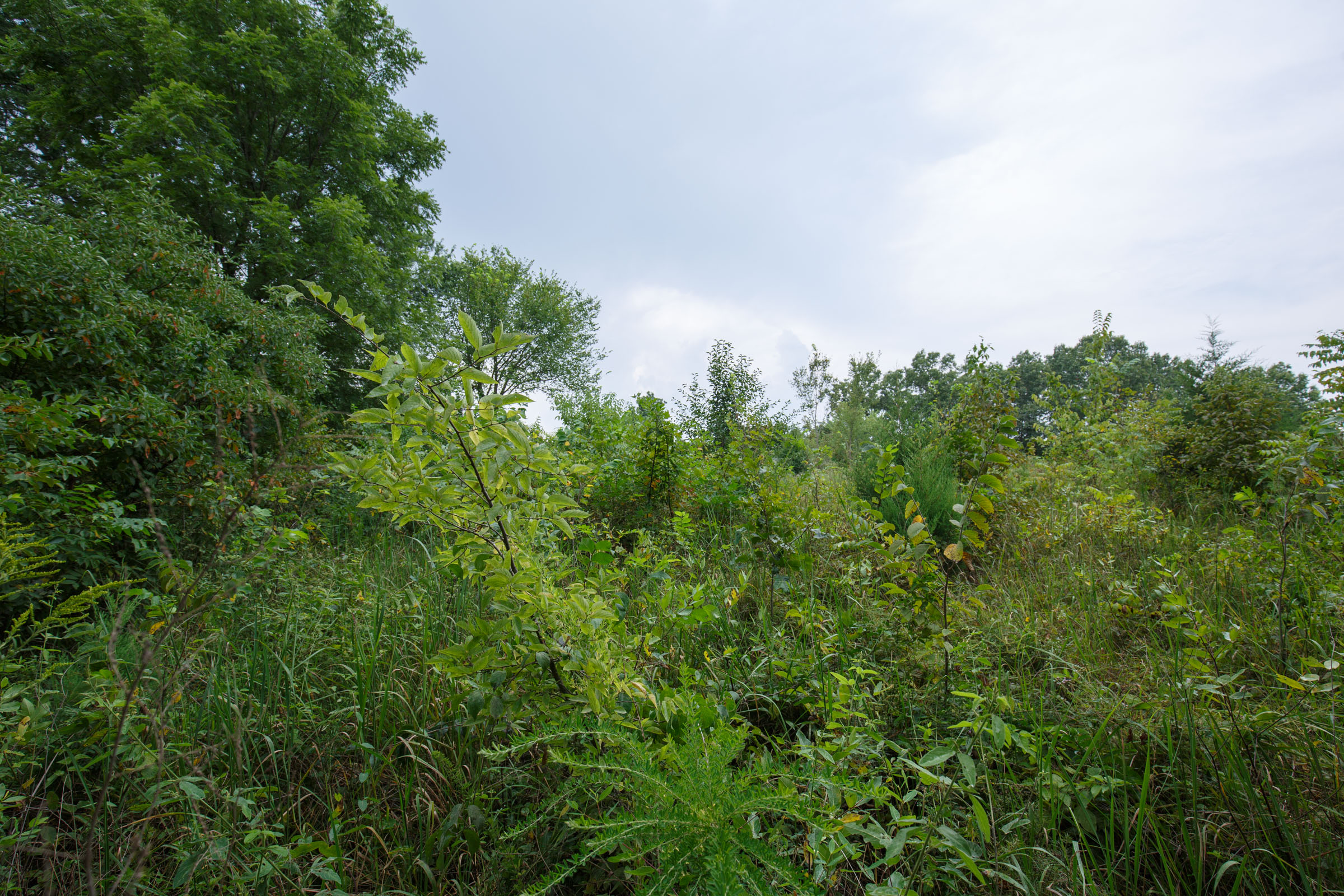 Tract 123 at Springlake in Miller County, Missouri