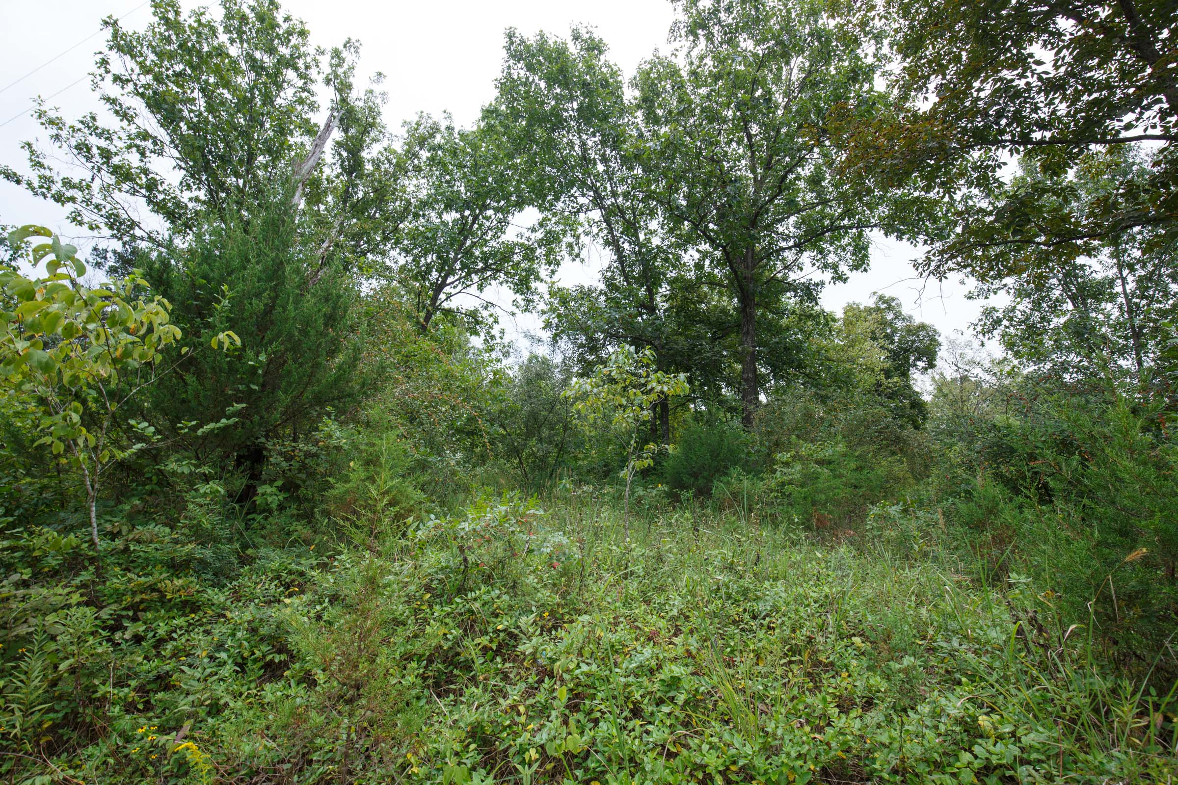 Tract 171 at Springlake in Miller County, Missouri