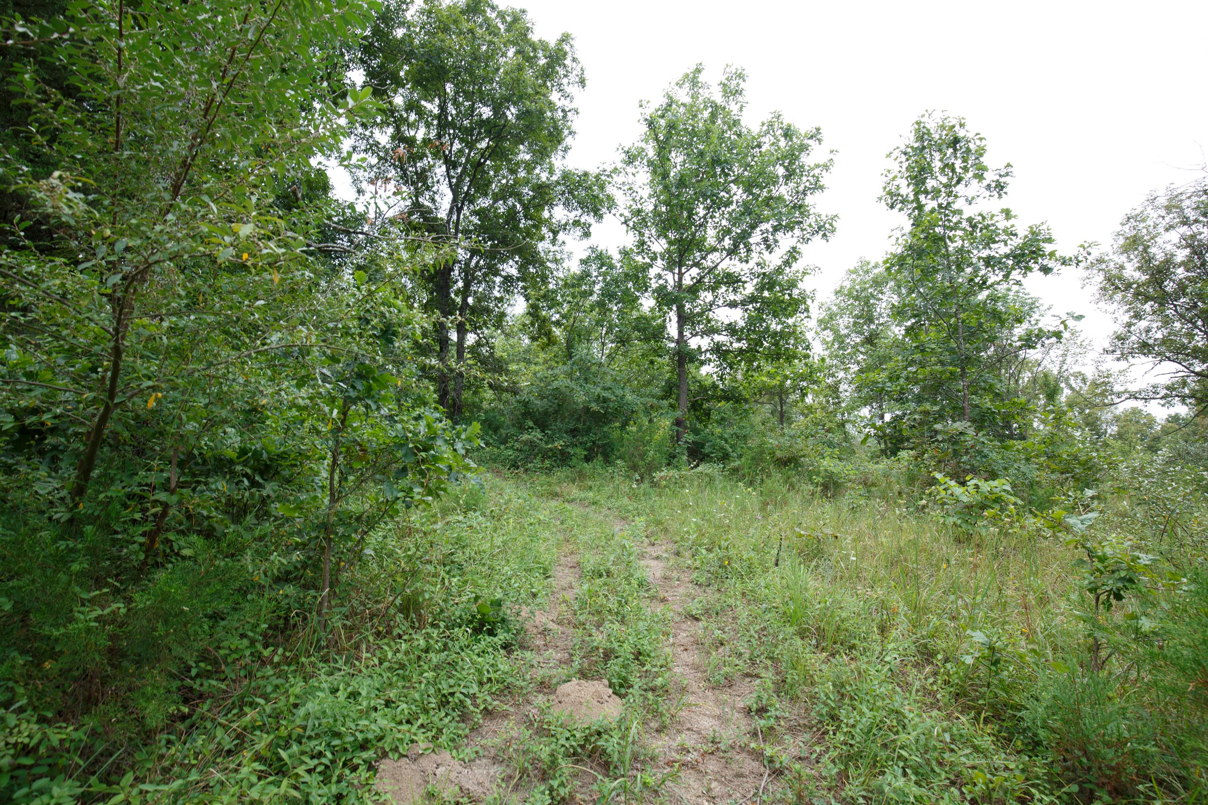 Tract 176 at Springlake in Miller County, Missouri