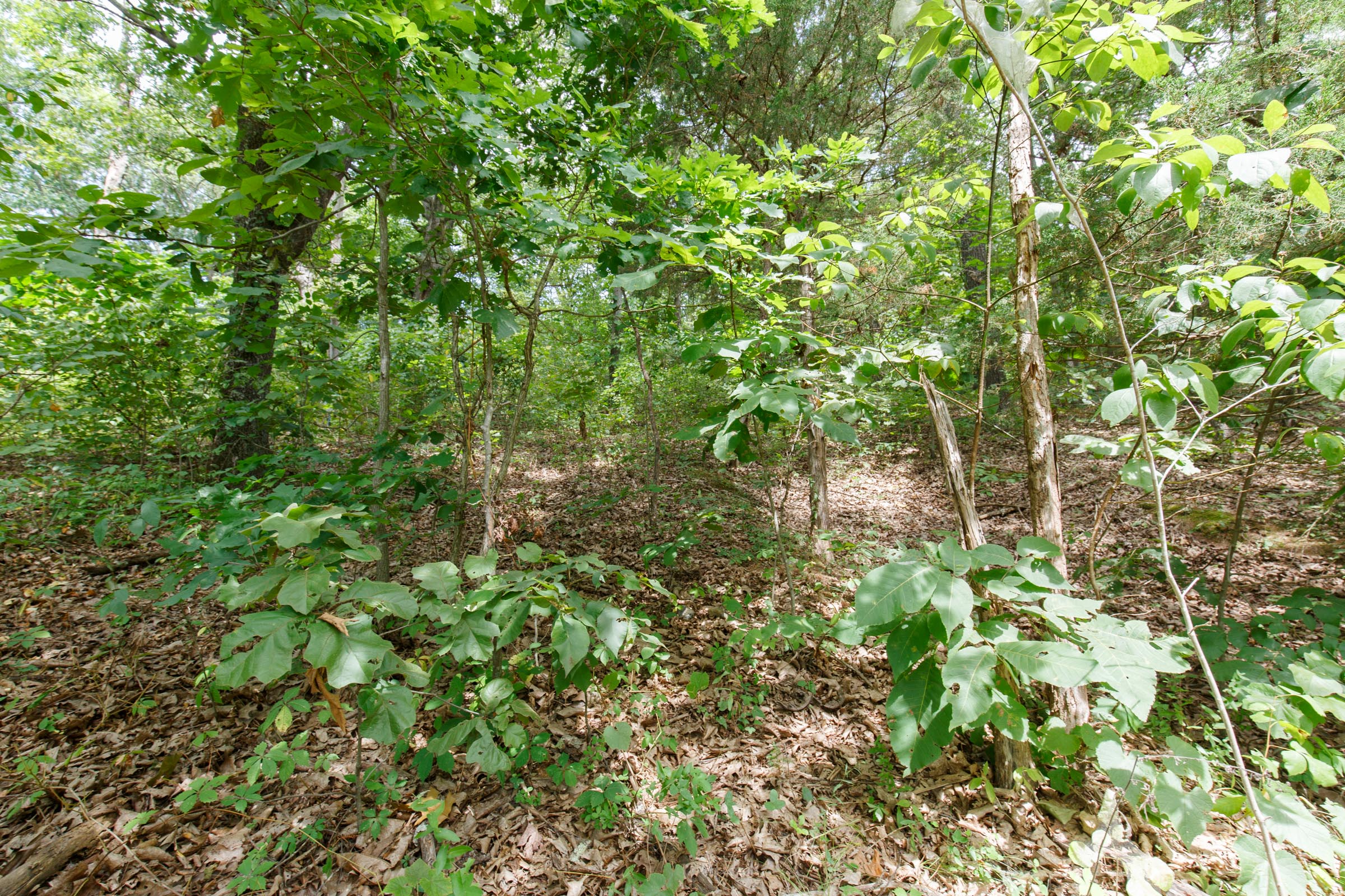 Tract 213 at Springlake in Miller County, Missouri