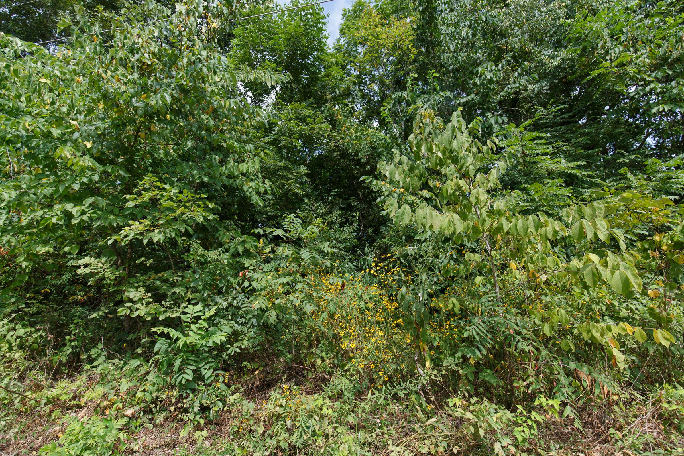 Tract 229 at Springlake in Miller County, Missouri