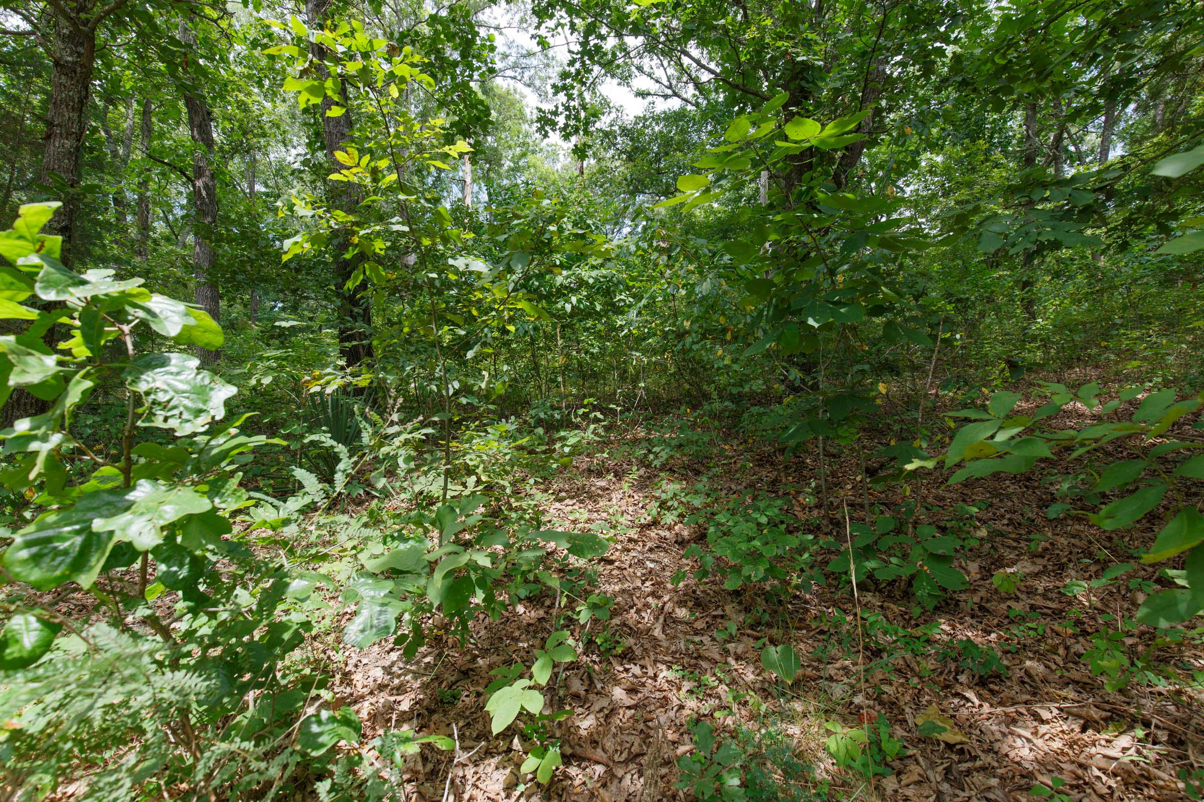 Tract 251 at Springlake in Miller County, Missouri