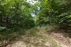 property photo for Springlake Plat 5 Tract 298, 0.19 acres for sale in Miller County, Missouri