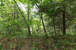 property photo for Springlake Plat 5 Tract 298, 0.19 acres for sale in Miller County, Missouri