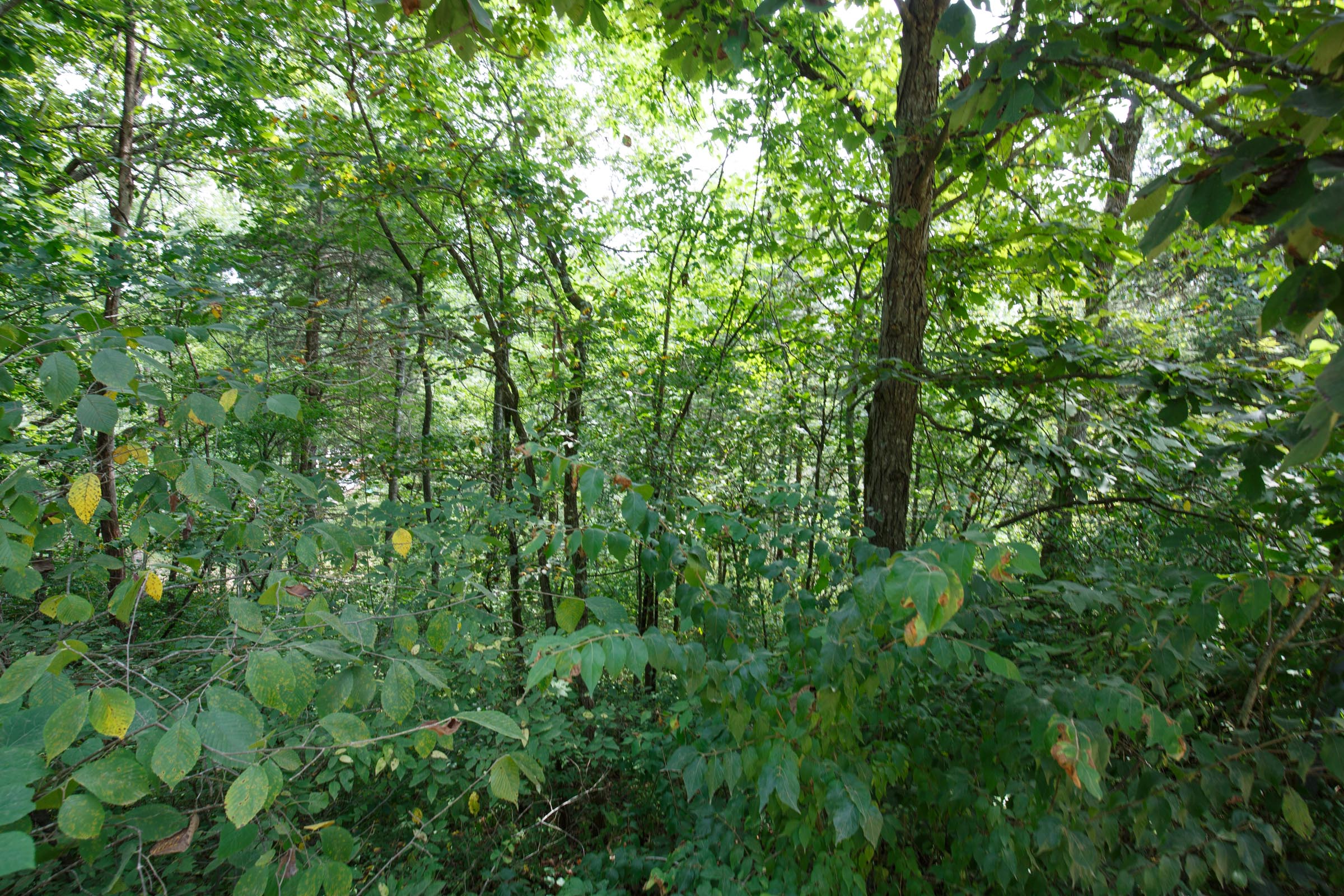 Tract 106 at Springlake in Miller County, Missouri