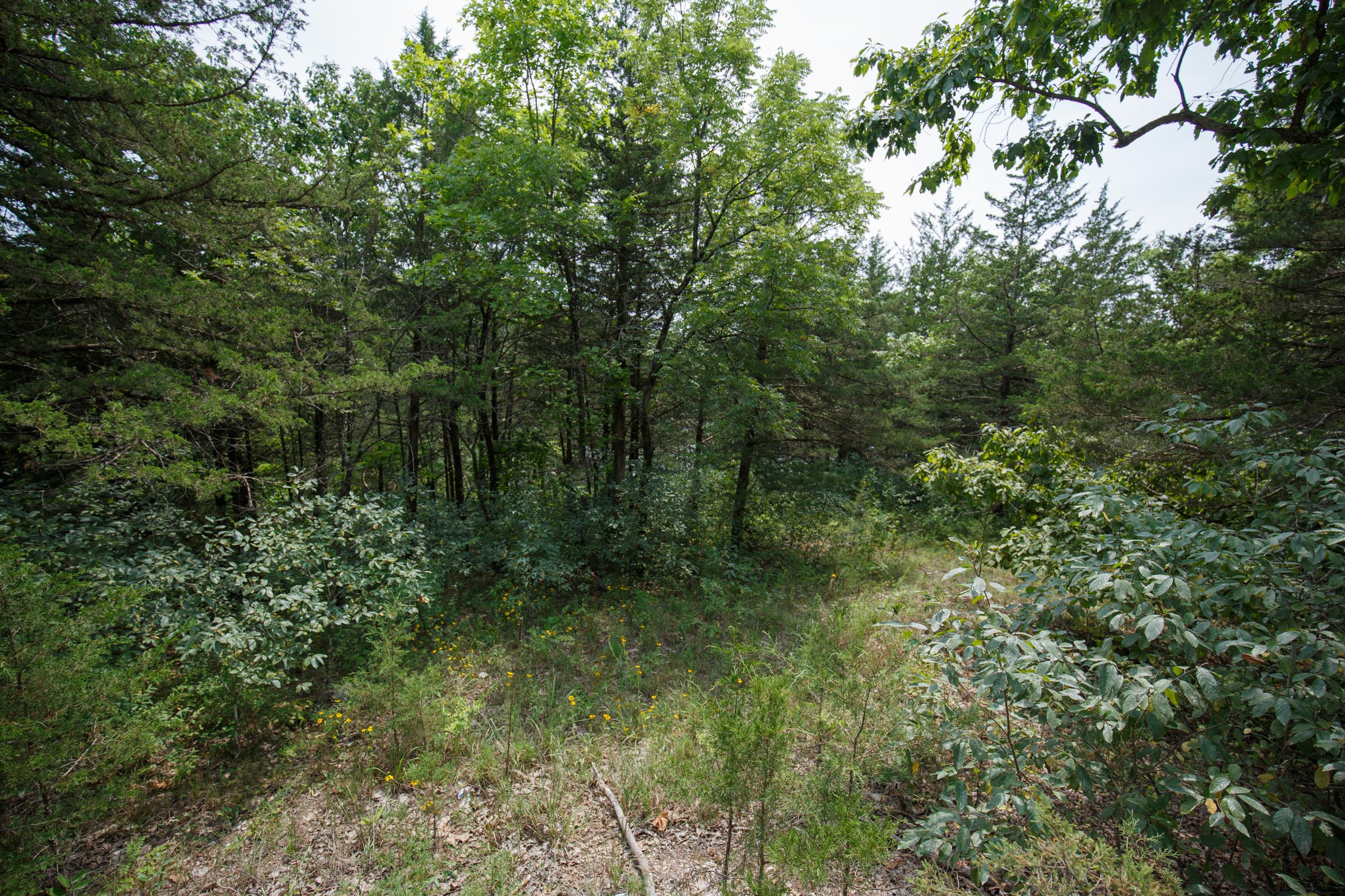 Tract 119 at Springlake in Miller County, Missouri