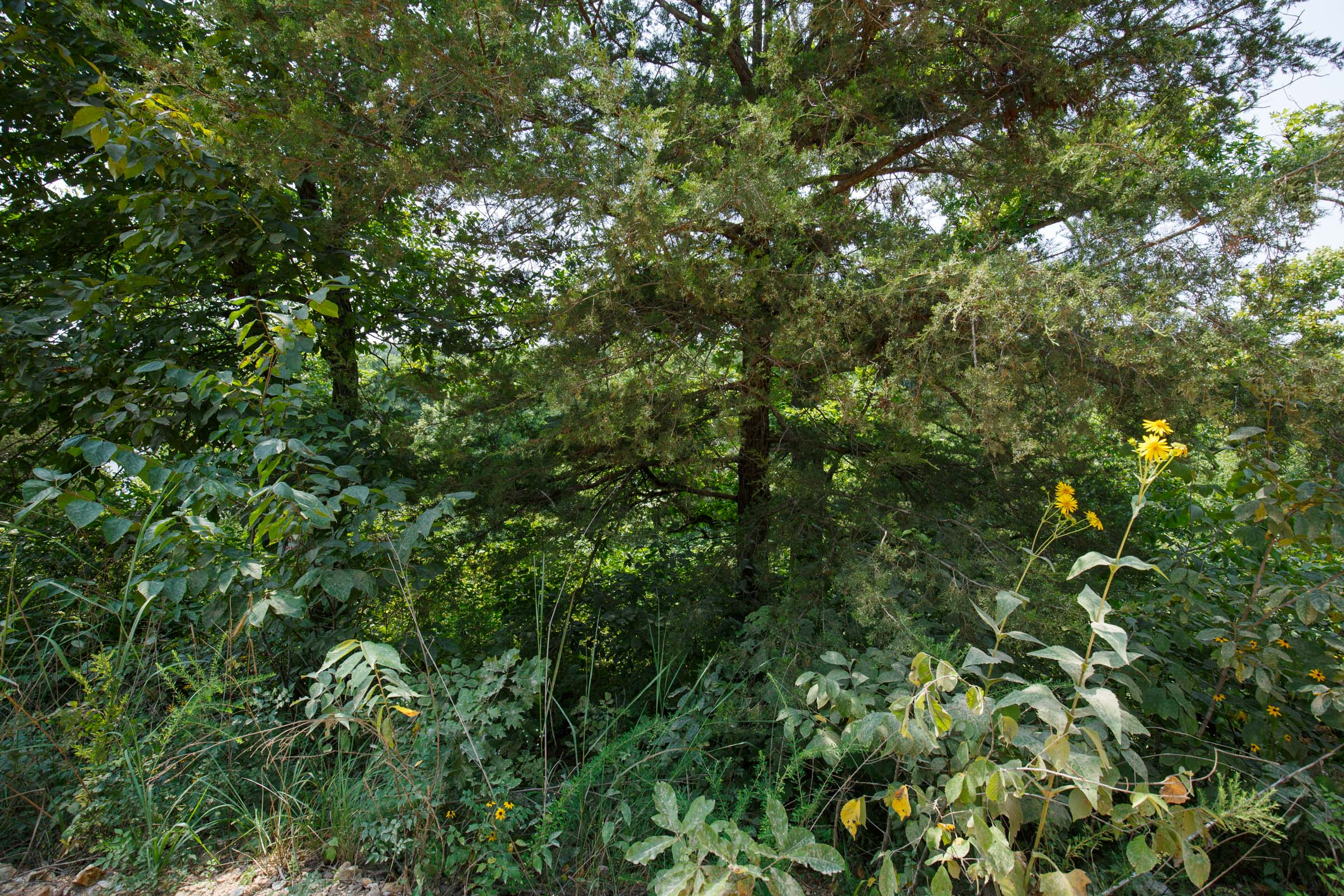 Tract 12 at Springlake in Miller County, Missouri