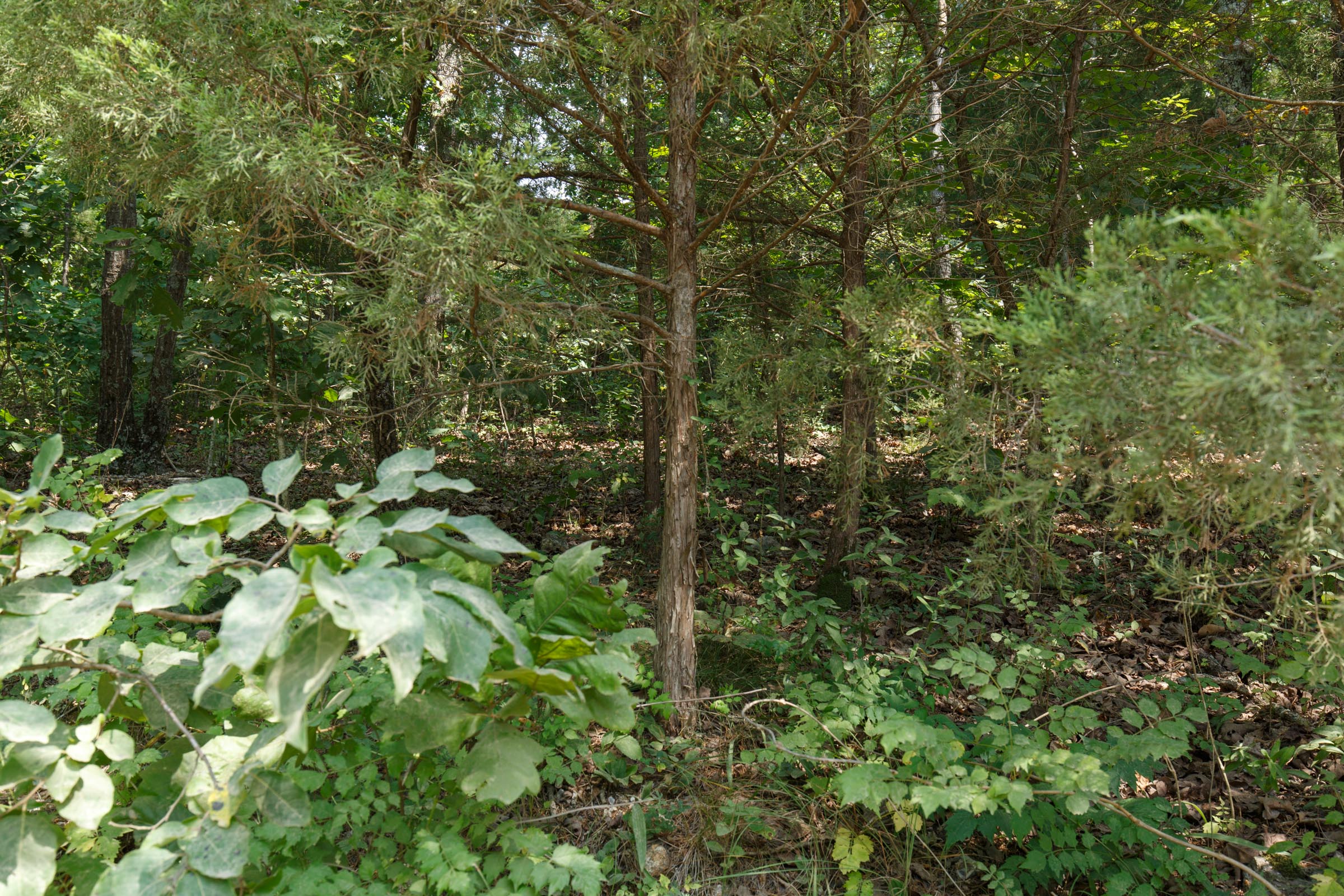 Tract 13 at Springlake in Miller County, Missouri