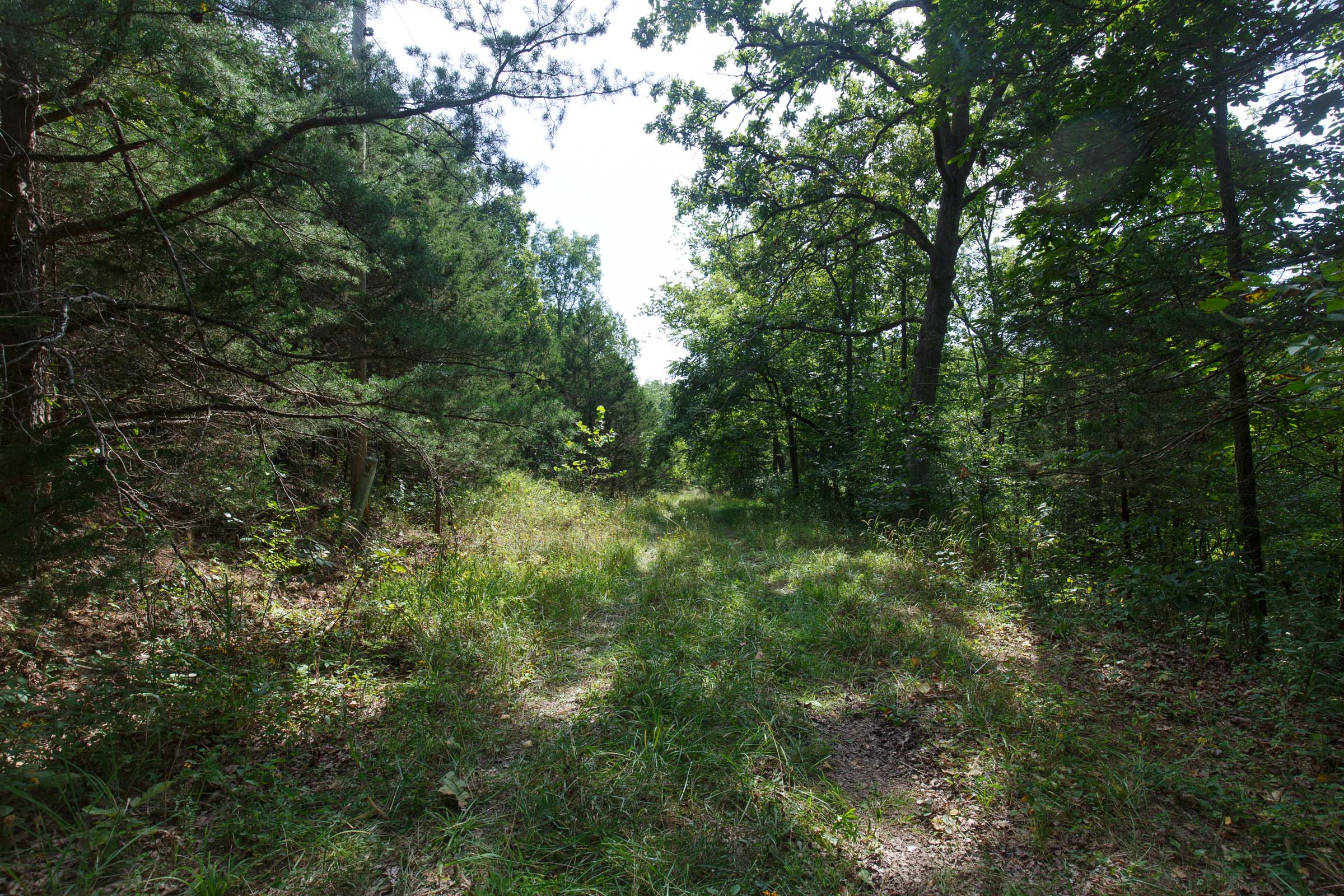 Tract 149 at Springlake in Miller County, Missouri
