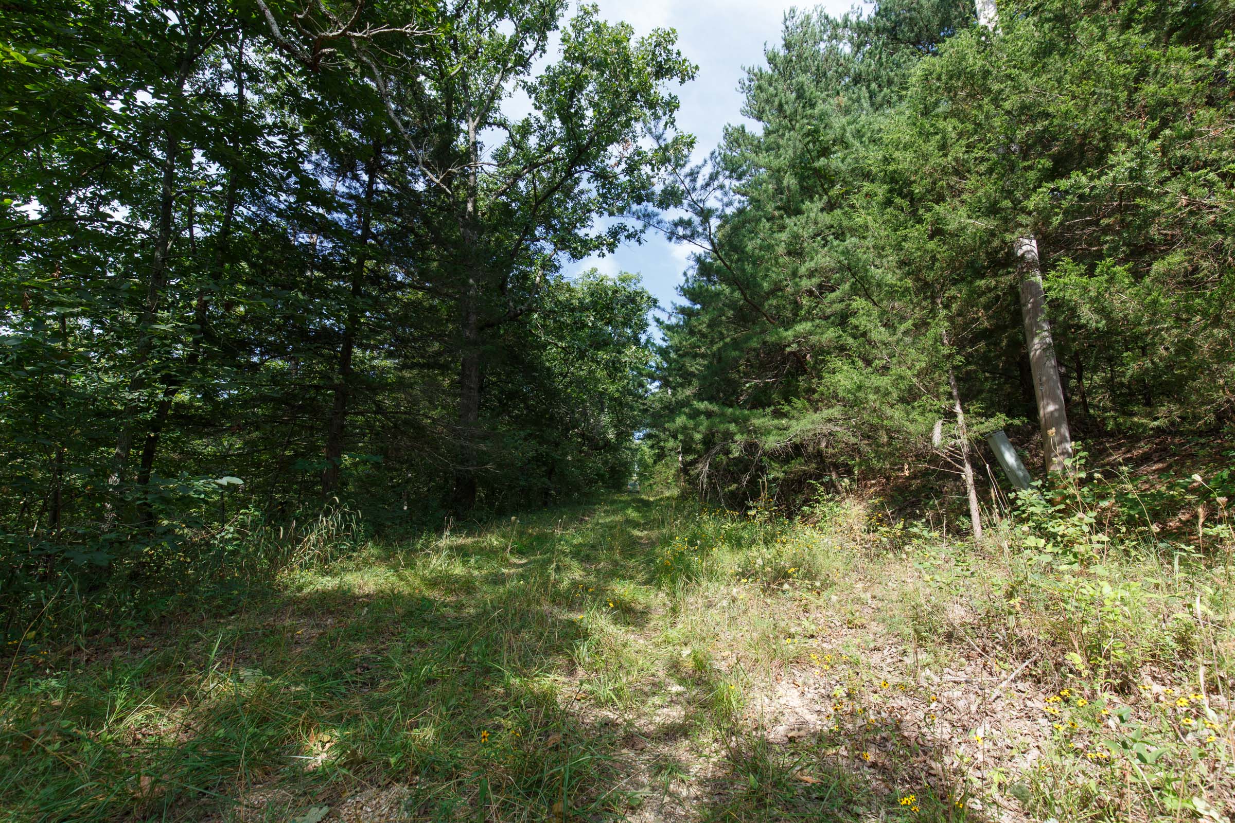 Tract 150 at Springlake in Miller County, Missouri