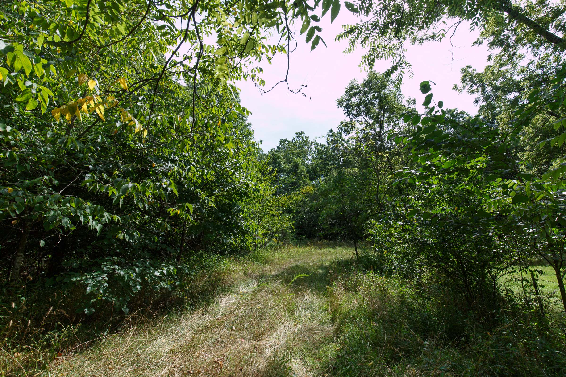 Tract 154 at Springlake in Miller County, Missouri