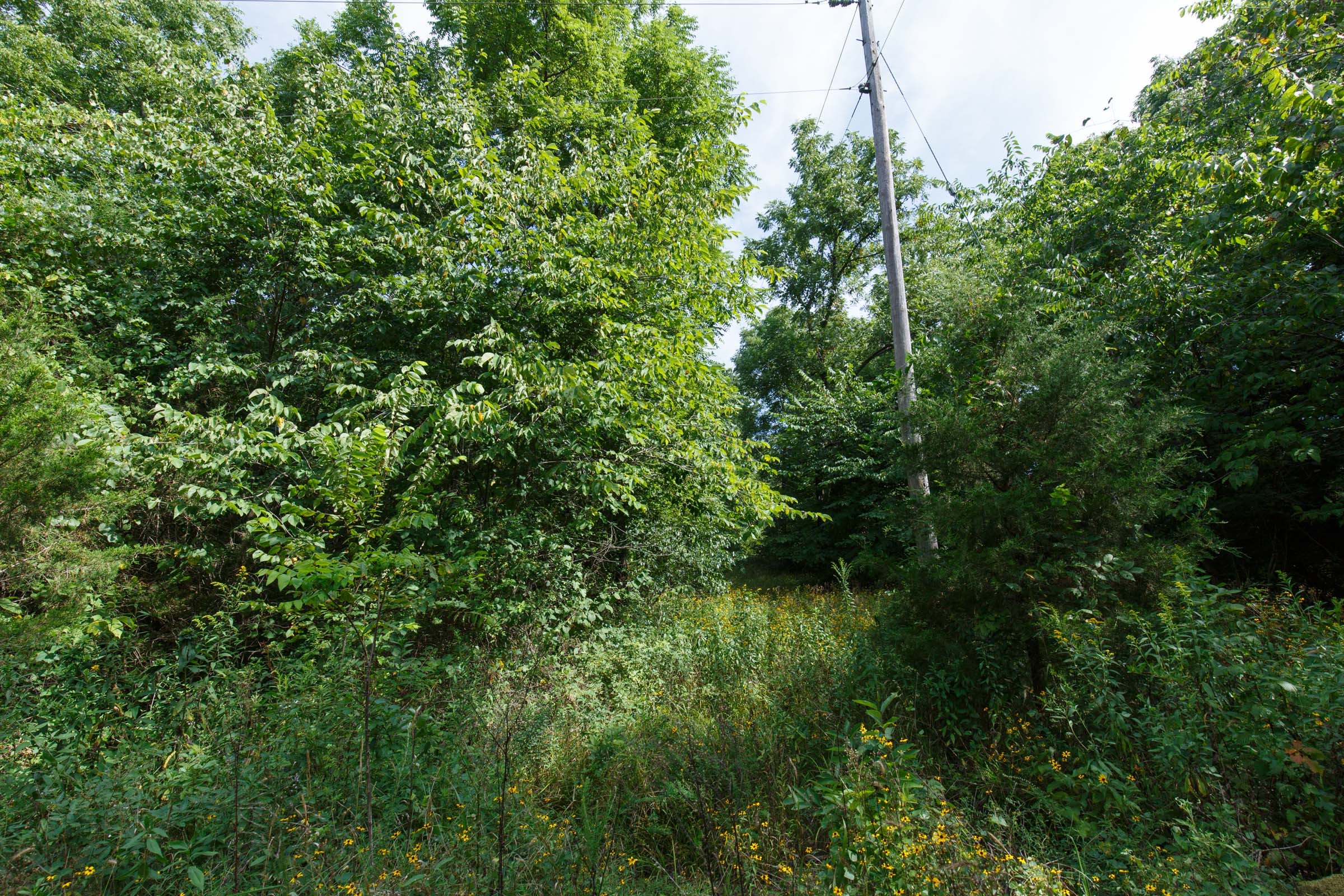 Tract 155 at Springlake in Miller County, Missouri