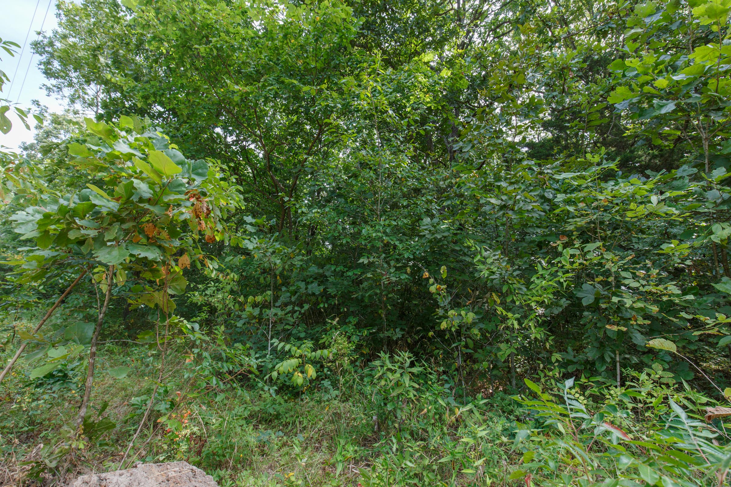 Tract 16 at Springlake in Miller County, Missouri