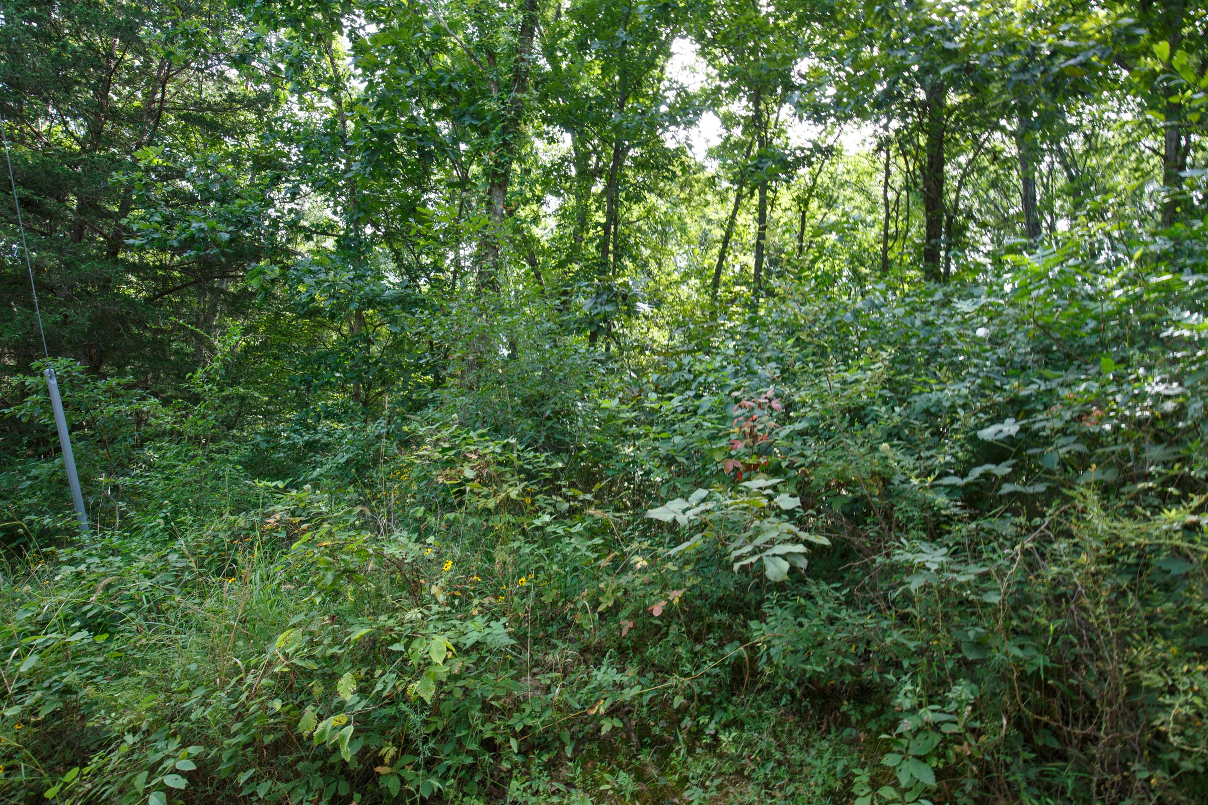 Tract 50 at Springlake in Miller County, Missouri