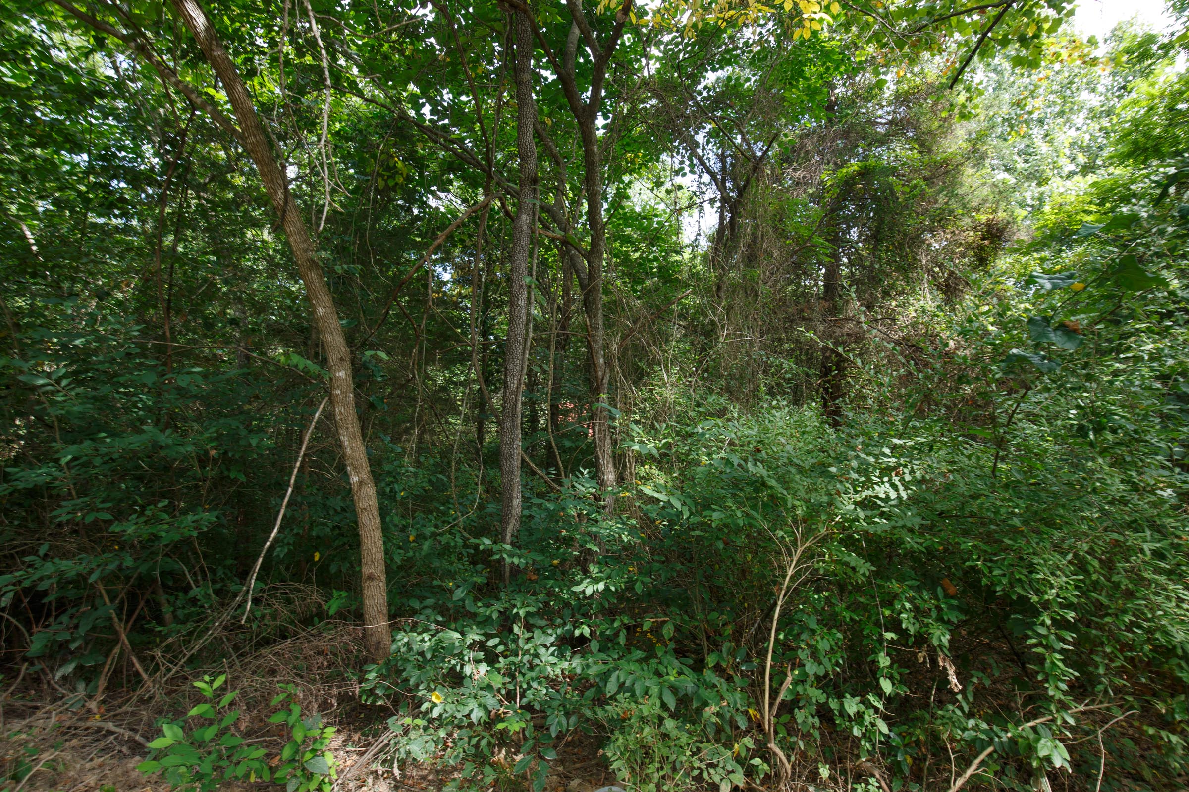 Tract 57 at Springlake in Miller County, Missouri
