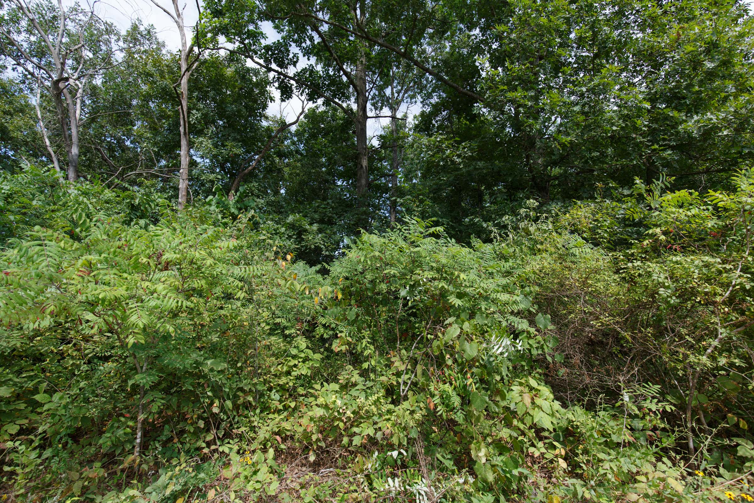 Tract 64 at Springlake in Miller County, Missouri