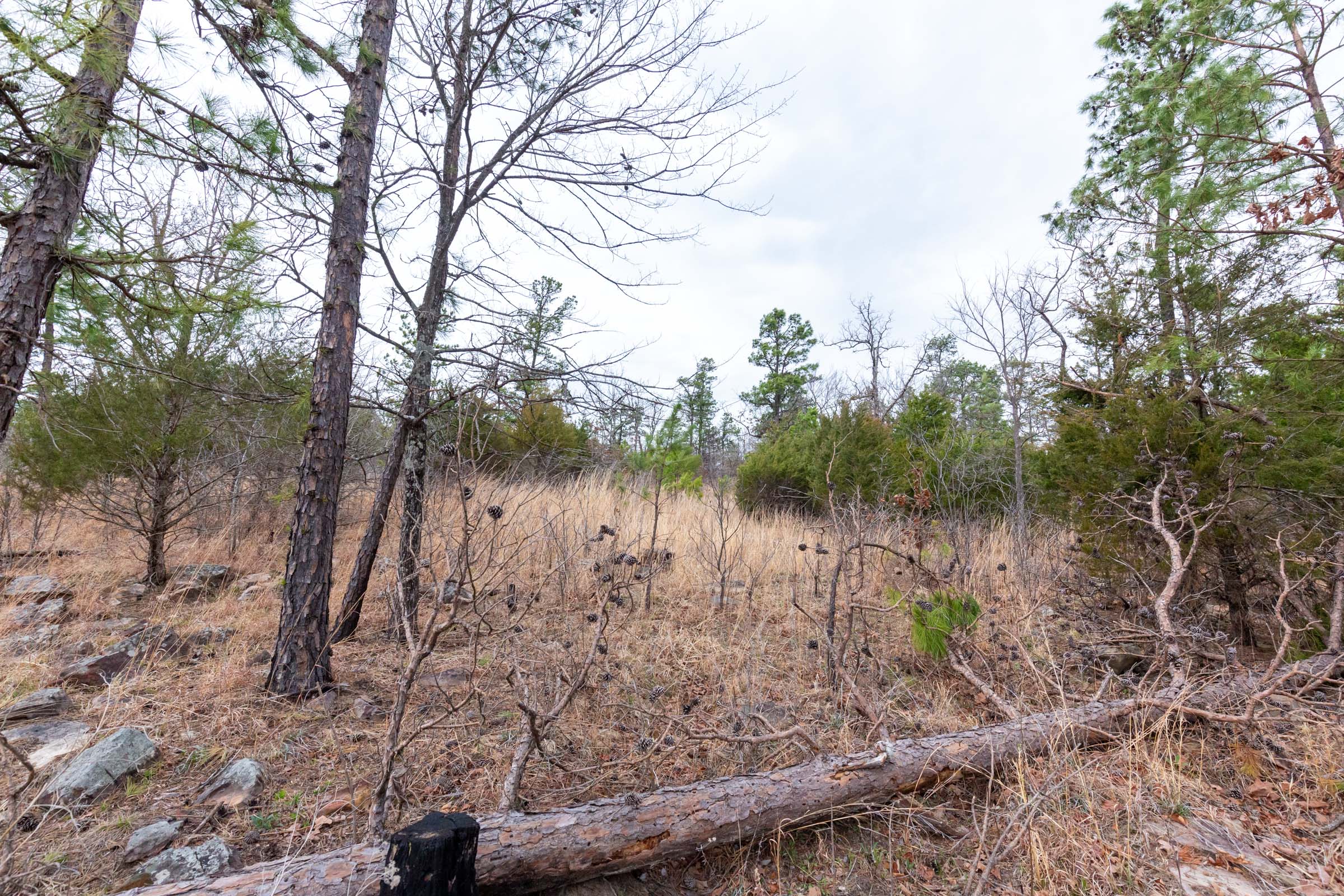Tract 138 at Stone Bridge Phase III in LatimerHaskell County, Oklahoma