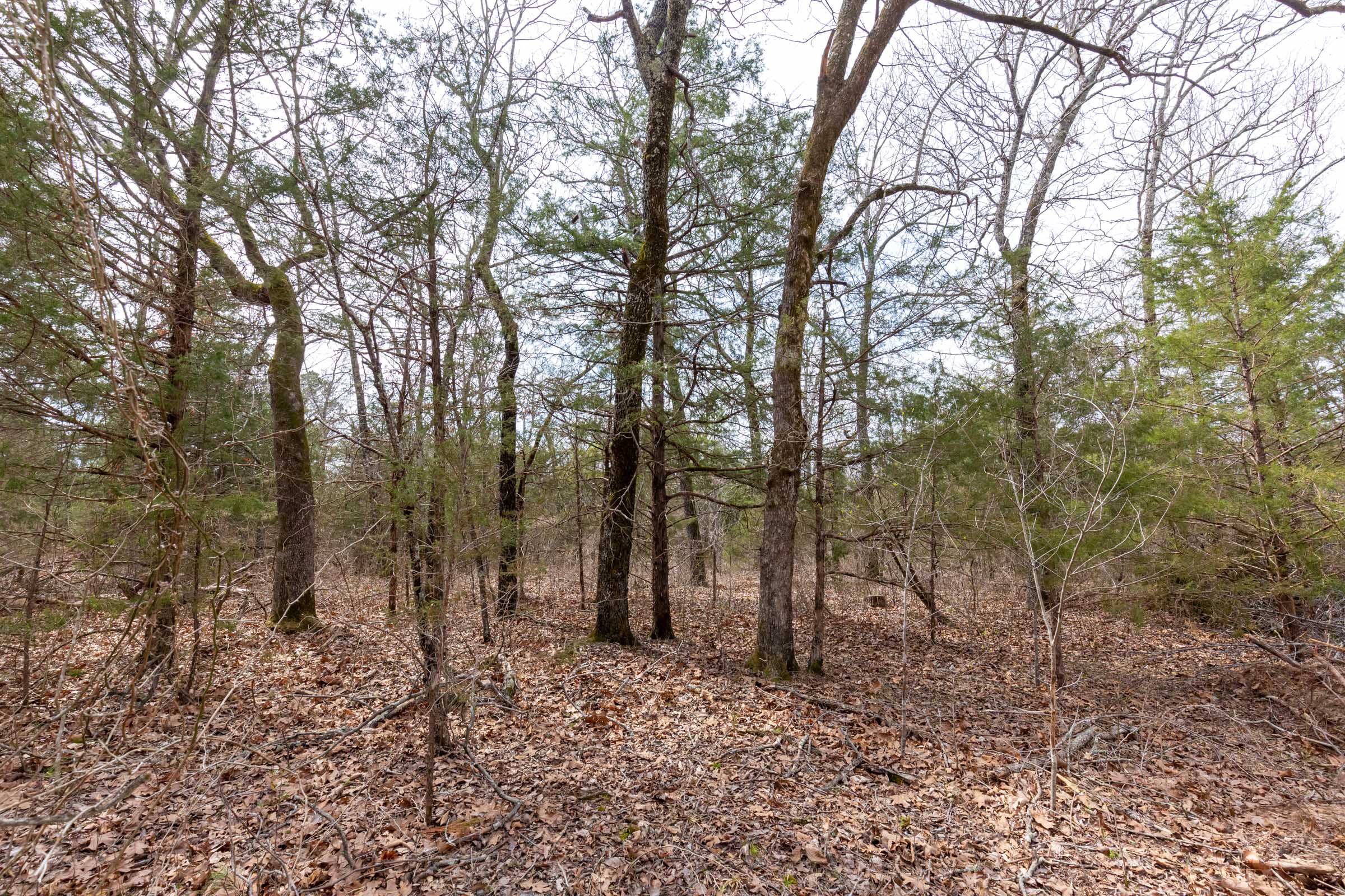 Tract 151 at Stone Bridge Phase III in LatimerHaskell County, Oklahoma