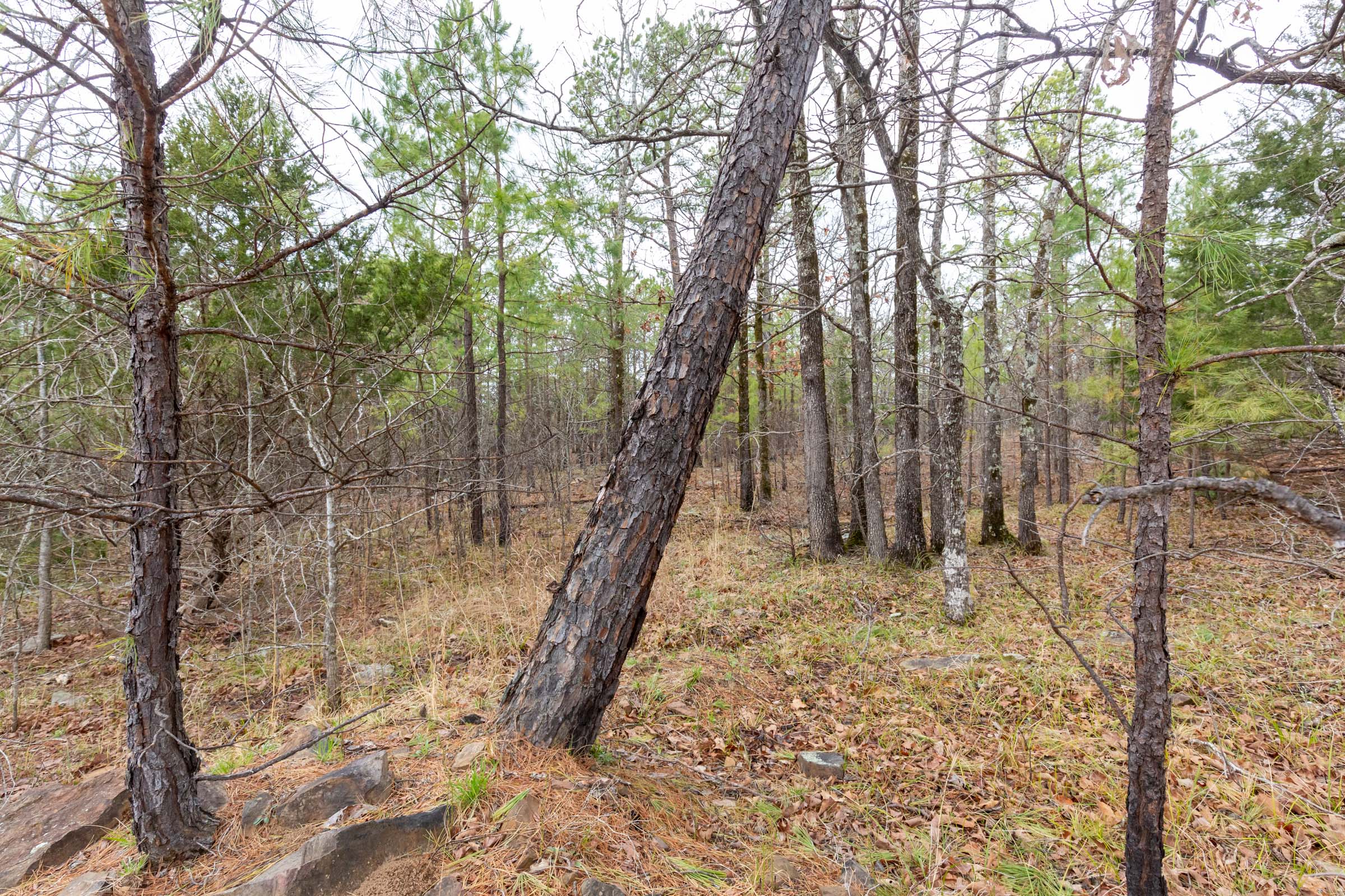 Tract 176 at Stone Bridge Phase III in LatimerHaskell County, Oklahoma