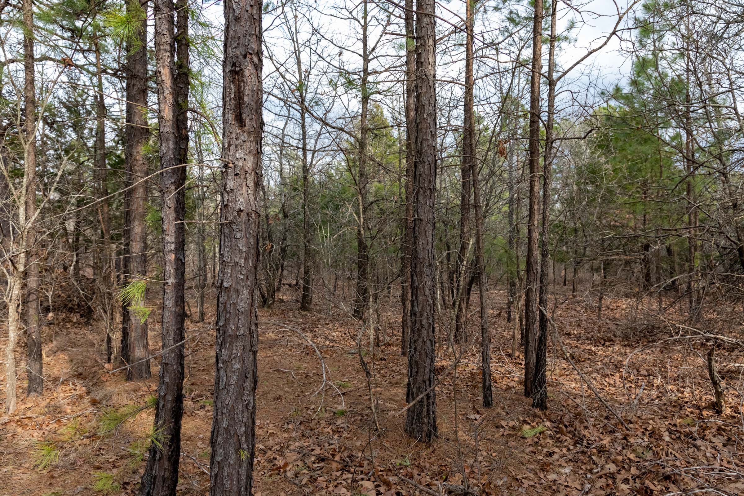 Tract 180 at Stone Bridge Phase III in LatimerHaskell County, Oklahoma