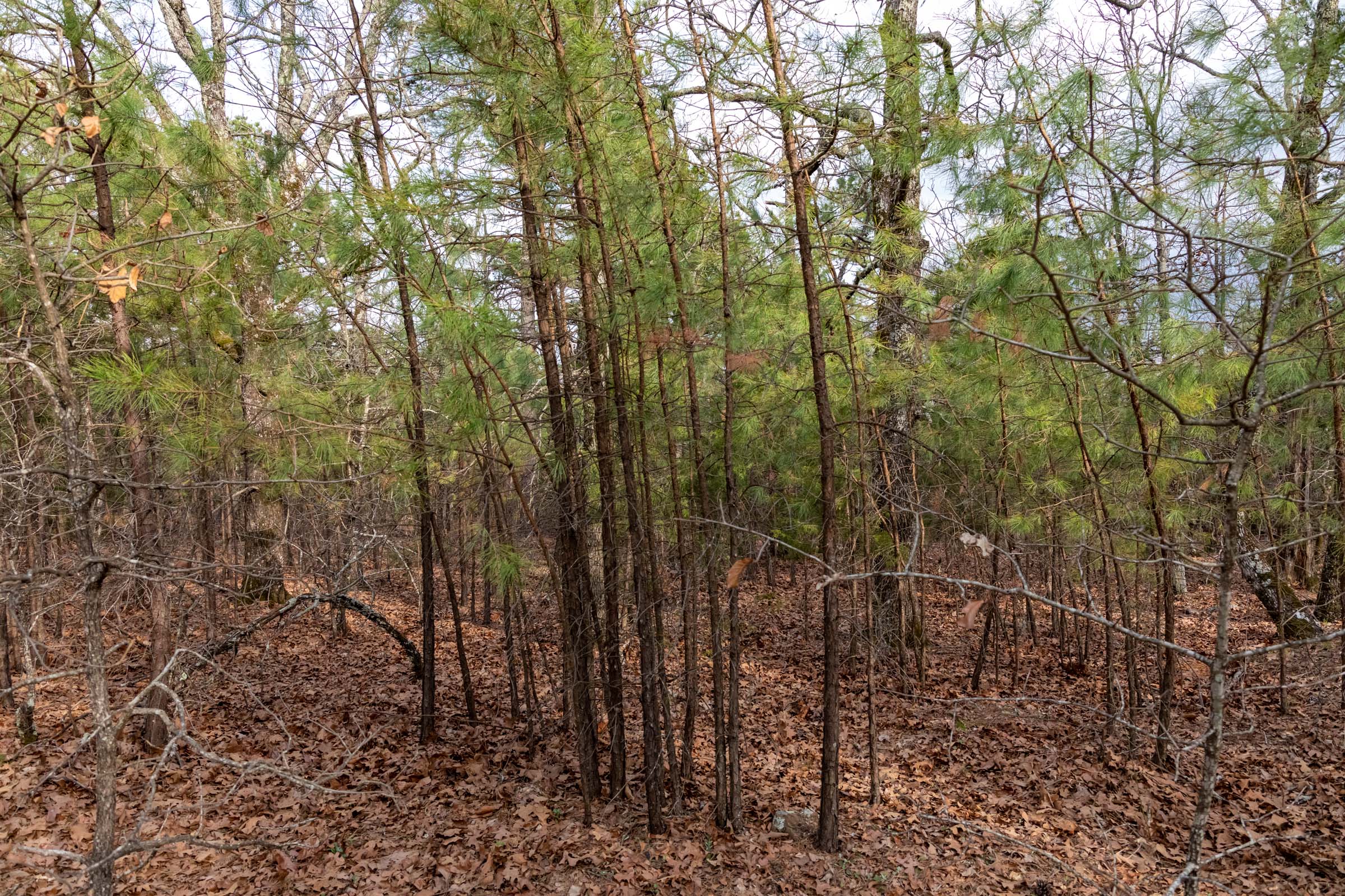Tract 181 at Stone Bridge Phase III in LatimerHaskell County, Oklahoma