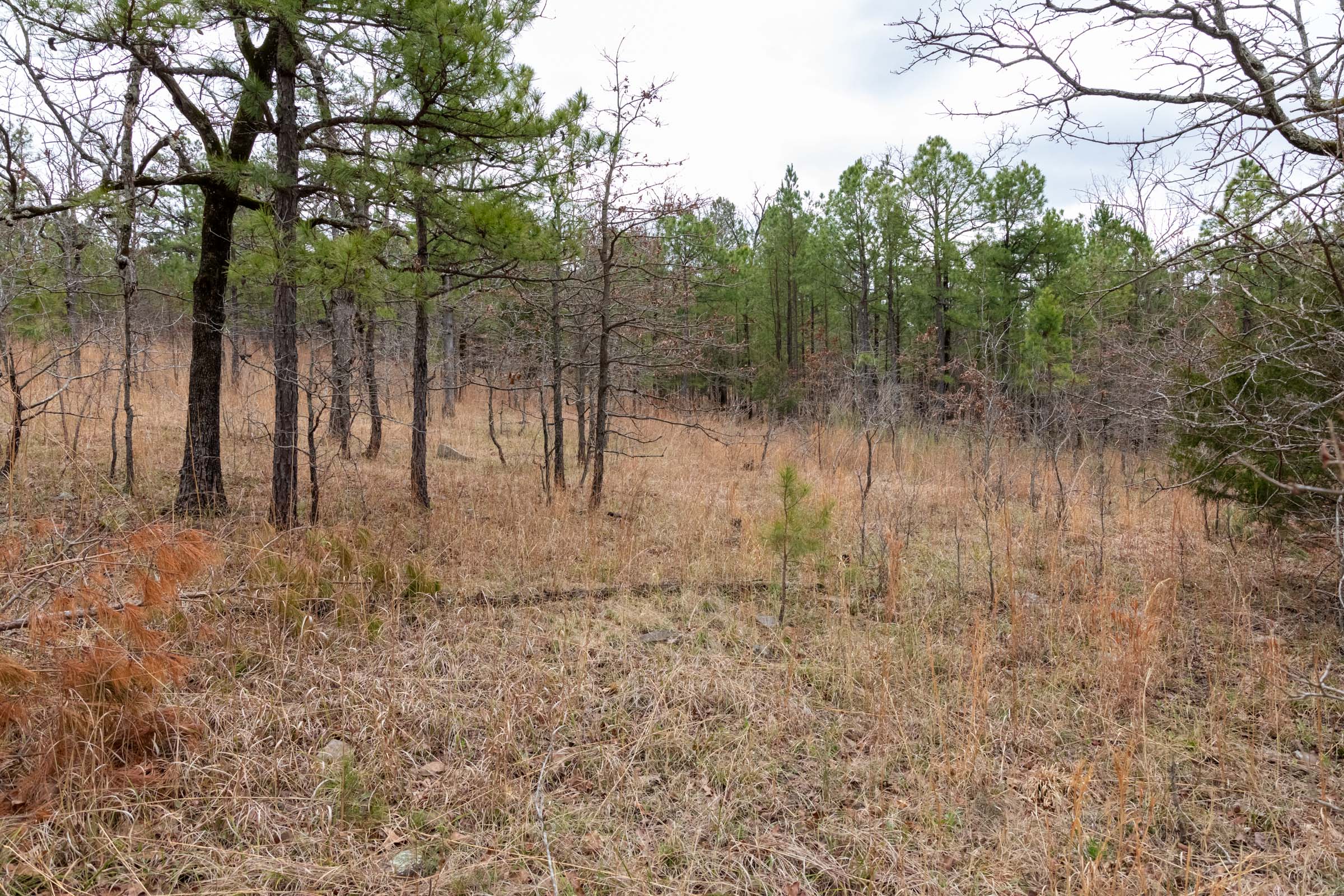 Tract 193 at Stone Bridge Phase III in LatimerHaskell County, Oklahoma