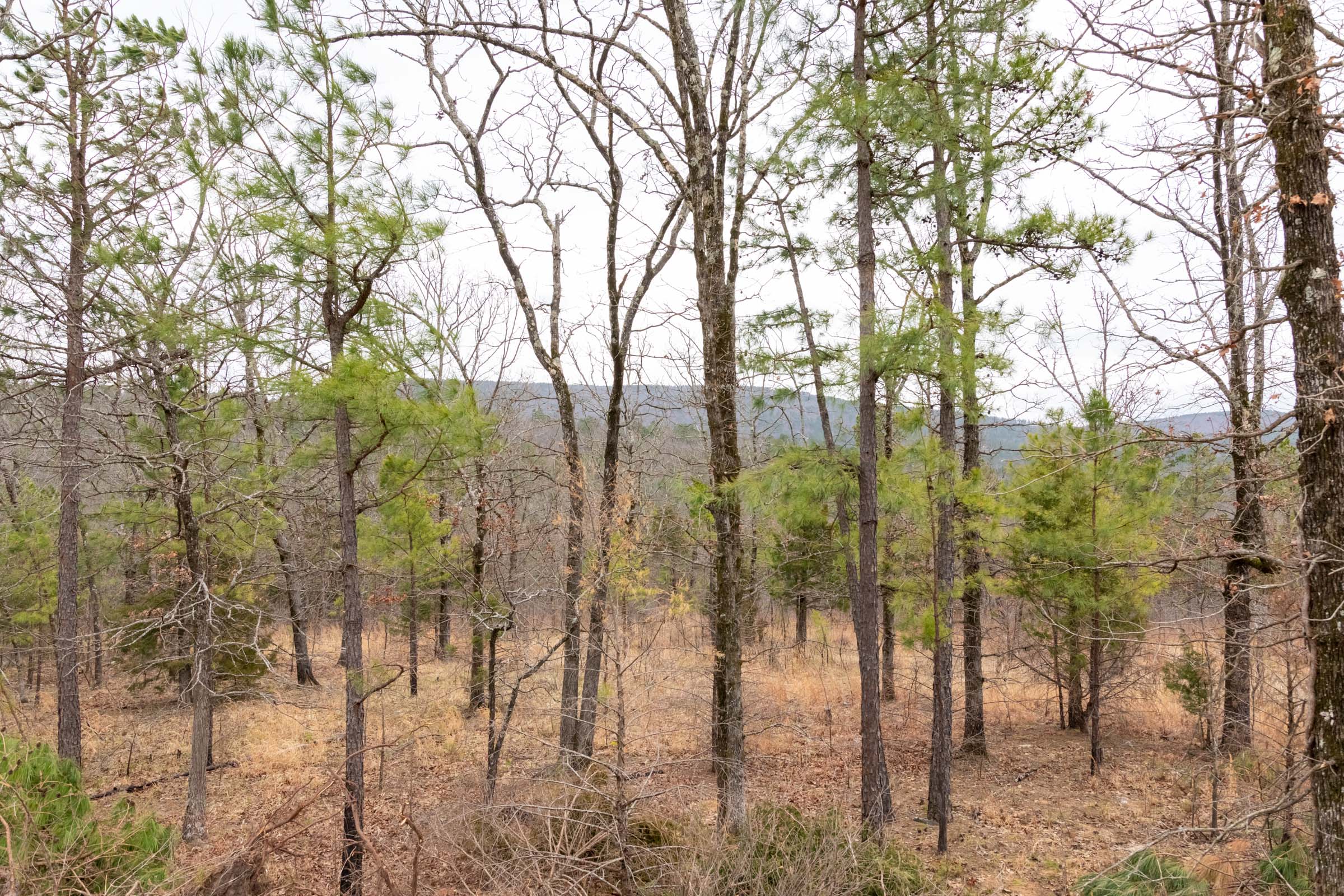 Tract 201 at Stone Bridge Phase III in LatimerHaskell County, Oklahoma